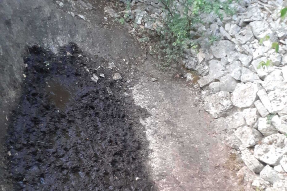 Pojilište na području Sv. Lovreča