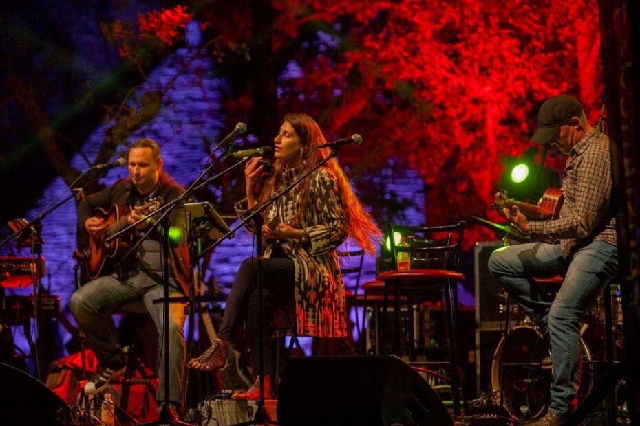 Acoustic Fever Trio
