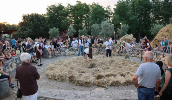 Fešta na gumnu ili kako se nekad želo i makinalo šenicu