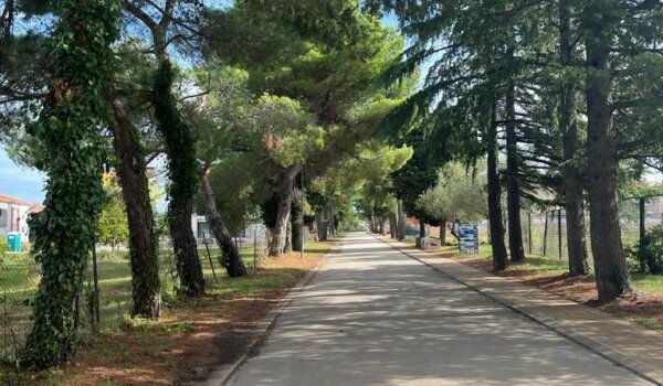 Borovima uz cestu prema turističkom naselju Funtana slijedi „check up“