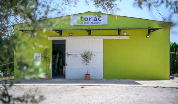 Uljara Torač u Žbandaju ponovno otvara svoja vrata: Hladnim prešanjem do pravih istarskih ekstradjevičanskih maslinovih ulja