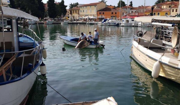 Novigrad: U subotu čišćenje podmorja od Mandrača do lukobrana