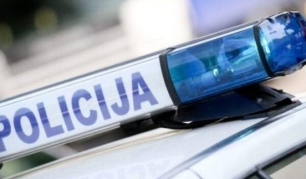 Ukraden automobil s mesom divljači