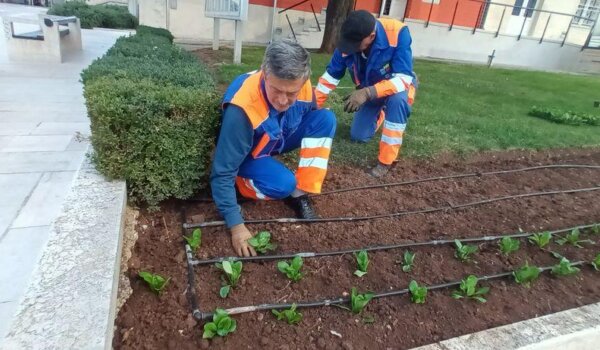 Kreće uređivanje cvjetnih gredica i korita, sadnja cvijeća
