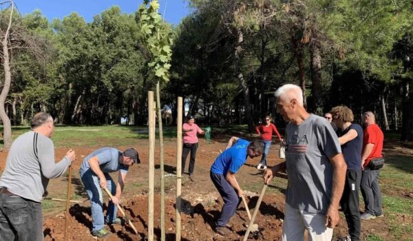 Poreč četvrtu godinu u akciji "Zasadi stablo, ne budi panj"