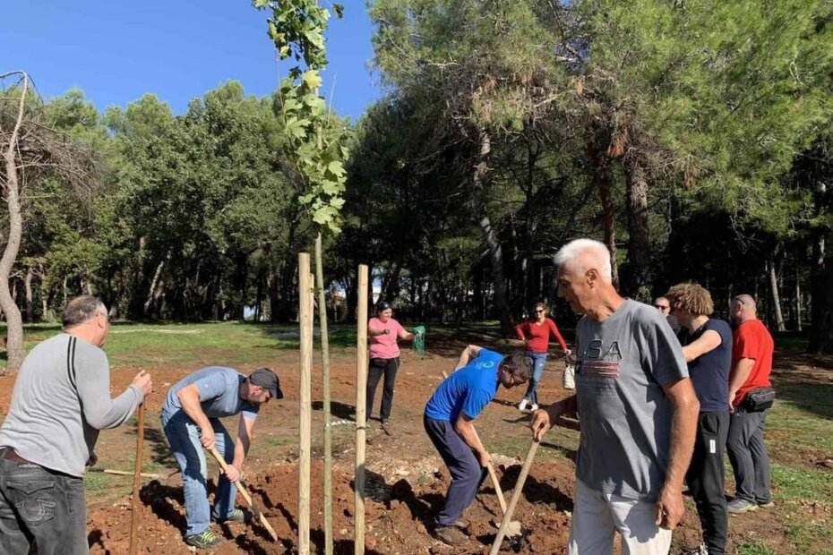 Sadnja po mjesnim odborima