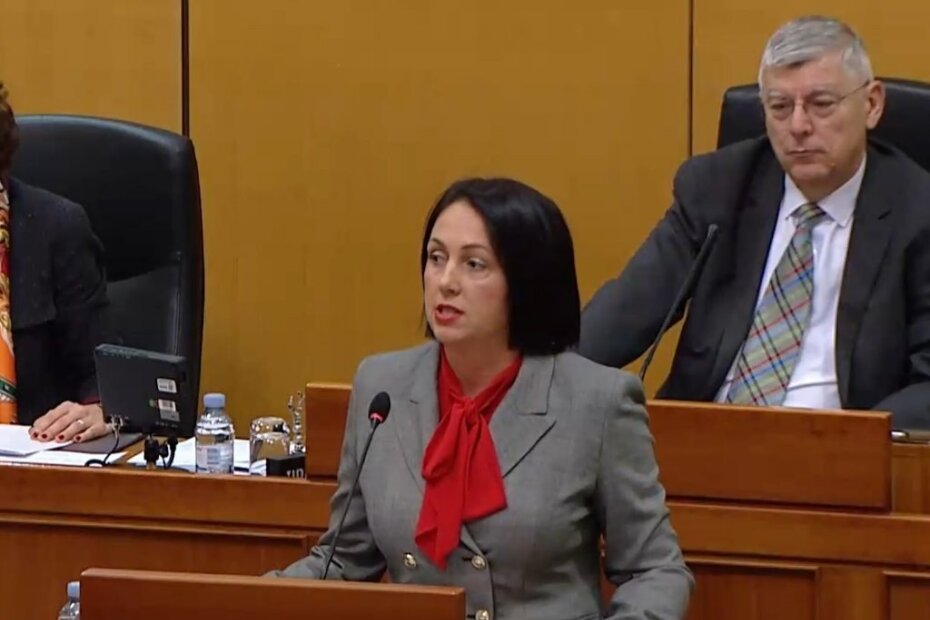 Katarina Nemet u Hrvatskom saboru