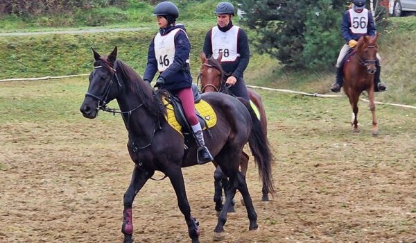 Daljinsko jahanje: Tia Mofardin i Dorijan Mihelić uspješni na natjecanju u Špišić Bukovici
