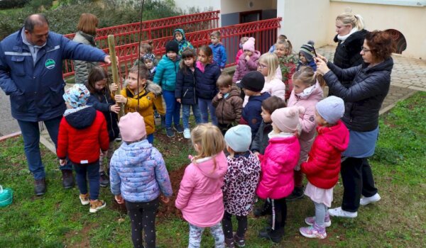 Sadnja stabala u vrtićima i školama Vodnjanštine