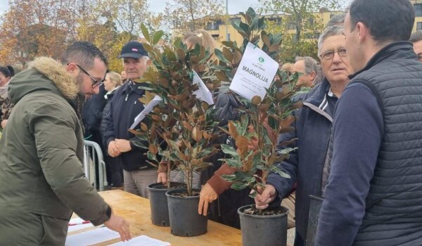 Porečanima danas podijeljeno petstotinjak besplatnih sadnica