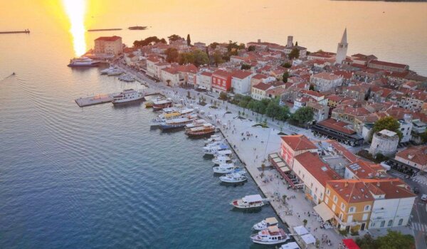 Raspisani natječaji za projekte civilnog društva i projekte udruga u području poljoprivrede