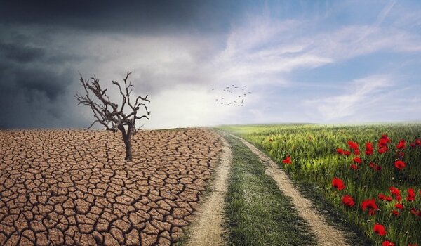 Stručni skup "Utjecaj klimatskih promjena na poljoprivredu u Istri"