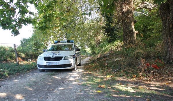 Dva naleta na divljač