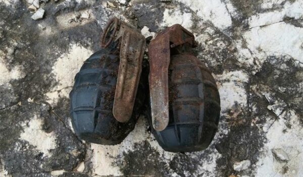 U šumi pronašao bombe pa odmah pozvao policiju