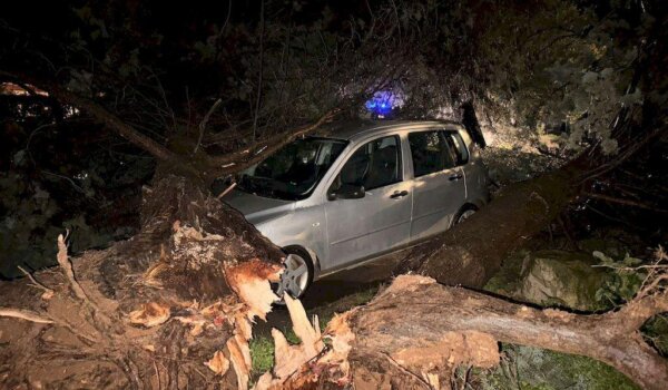 Foto: Vatrogasne intervencije na području Poreča i Rovinja