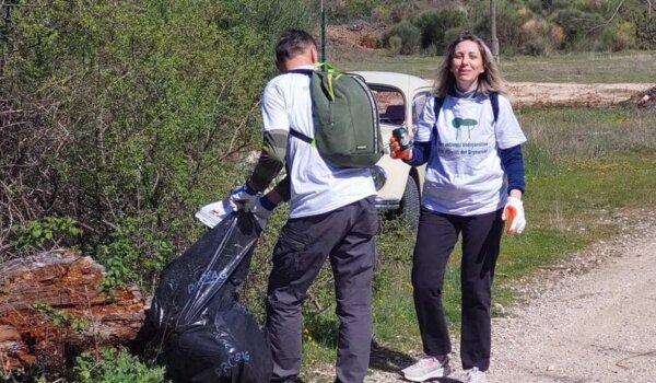 Grad Vodnjan u subotu organizira eko akciju čišćenja i sadnje drveća