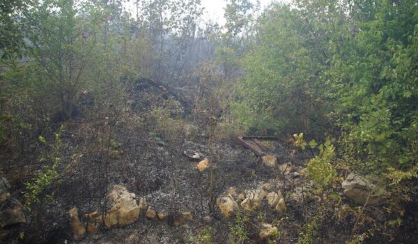Od danas zabrana loženja vatre na otvorenom