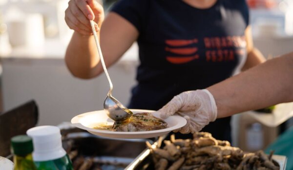 Na ribarskoj fešti u Vrsaru ovog petka Night Express Band