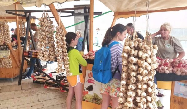 Četvrti festival češnjaka – povećan broj IQ markica za česan, a raste i potražnja
