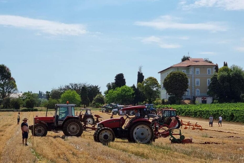 Natjecanje u oranju (arhiva)