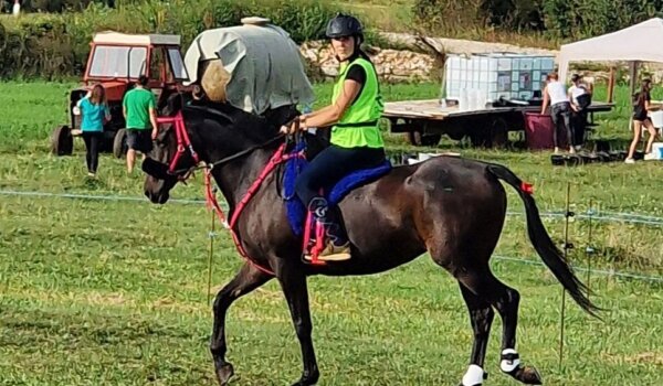 Tia Mofardin i Anna Poropat osvojile treće kolo Istarskog kupa u daljinskom jahanju