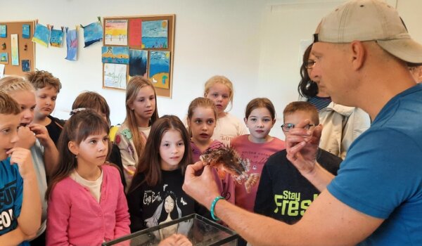 U Dječjem odmaralištu Špadići radionice o morskom svijetu za osnovnoškolske učenike iz Pazina