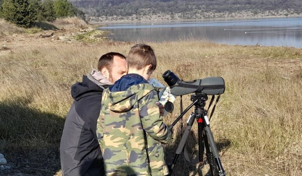 Svjetski dan ptica selica: Istražite migracije ptica na ušću Mirne