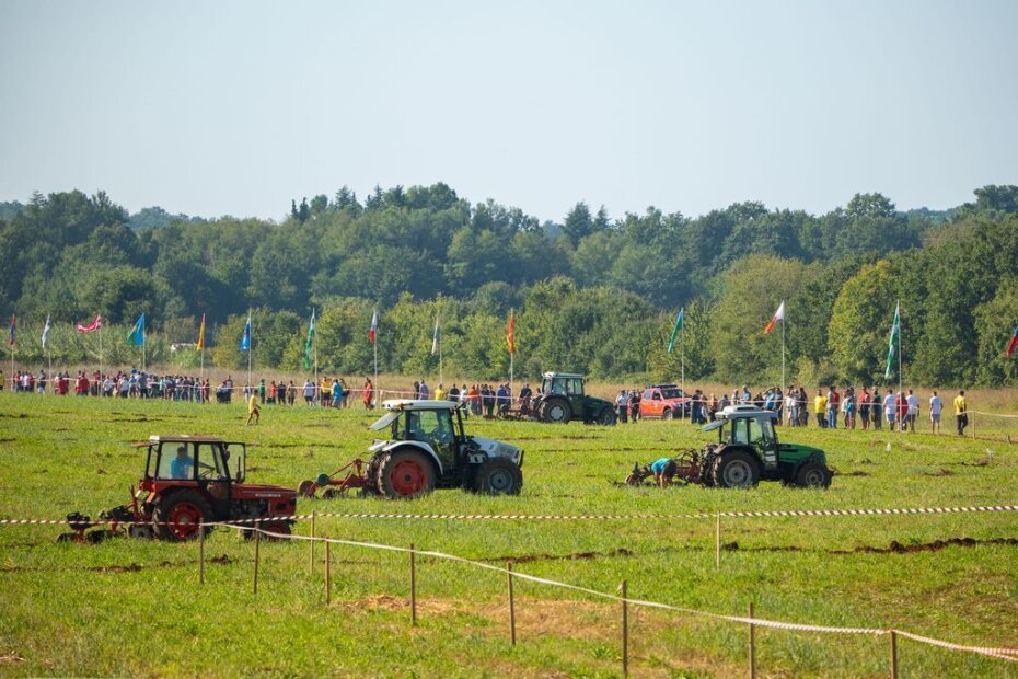 Natjecanje u oranju u Poreču