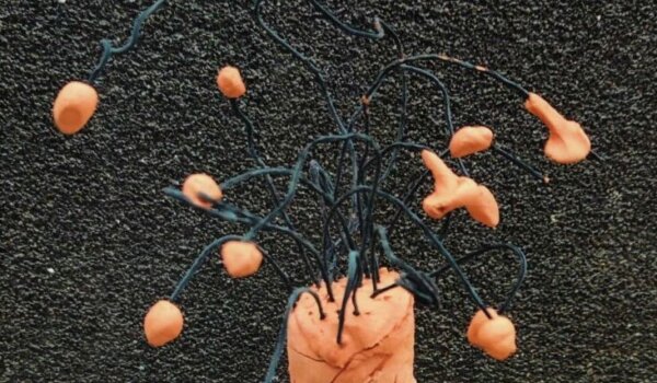 U srijedu u porečkoj knjižnici predstavljanje ovogodišnje PoZiCe