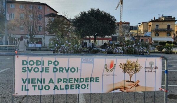 U srijedu besplatna podjela sadnica