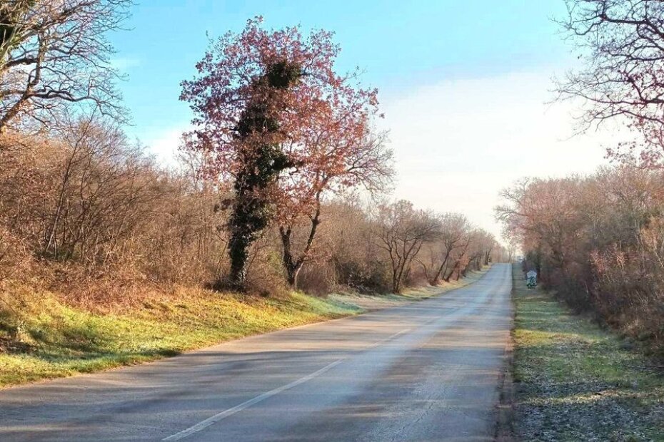 Cesta od rotora Bašarinka do rotora Červar Porat