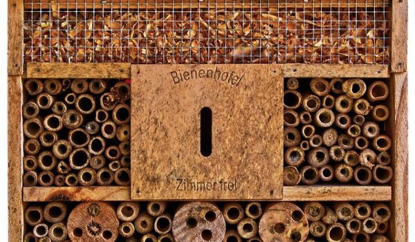 U maloj knjižnici na Maraforu grade se hoteli za kukce