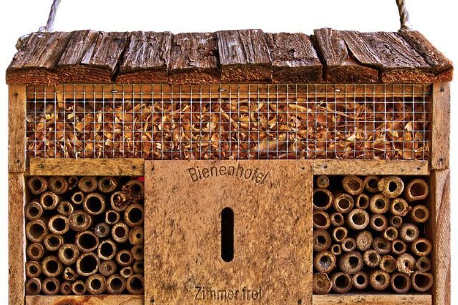 Hotel za insekte (ilustracija)