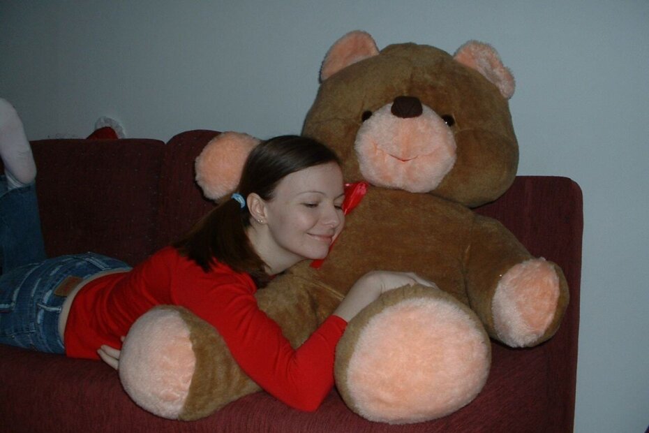 Terapeutski učinak plišane igračke na odrasle