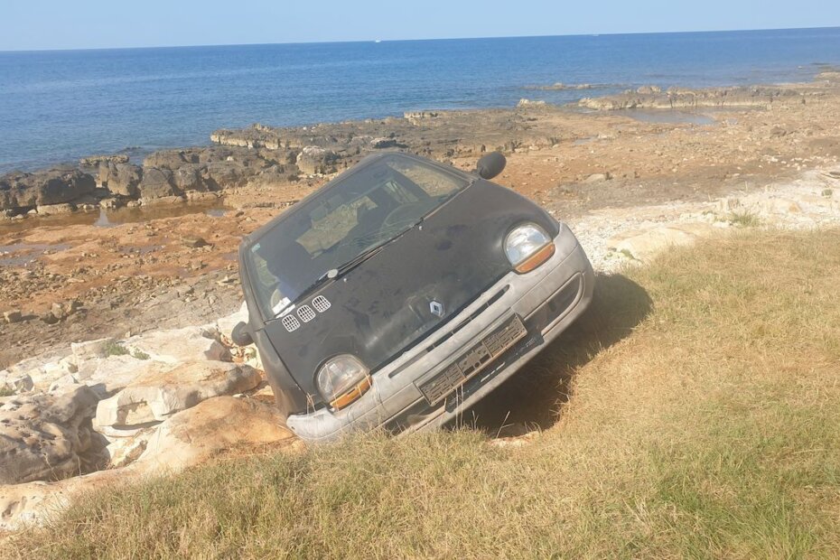 Napušteni Twingo