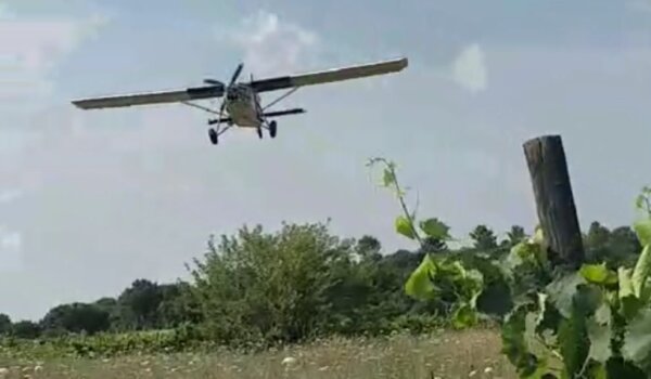 Buka i grožđe koje zadaje na avione