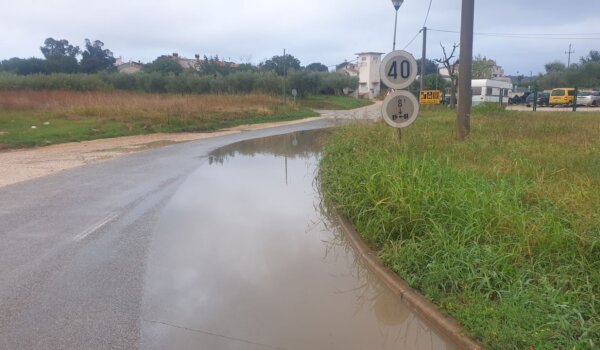 Reagiranja građana na priču iz Varvari: Jesu li dva kamiona rizle preskupa?