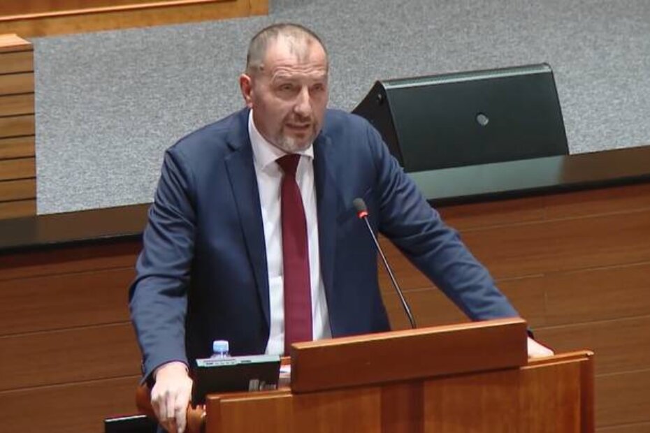 Paus u Saboru o ulaganjima u zdravstvo i obrazovanje