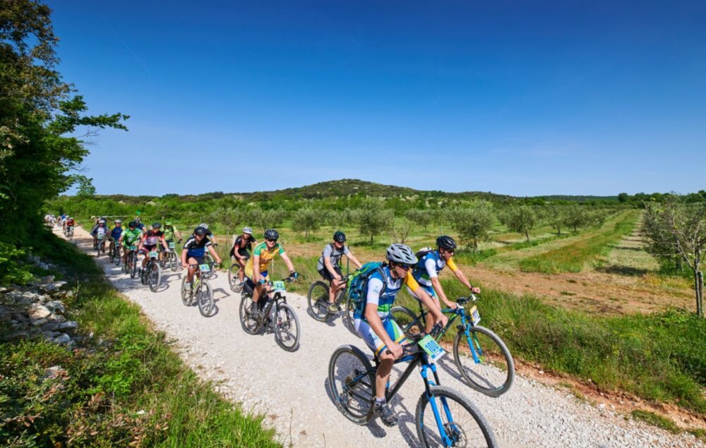 Limes Bike & Family Tour