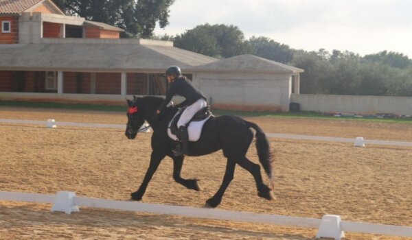 Članovi porečkog konjičkog kluba Philipos sudjelovali na Županijskom prvenstvu u dresuri