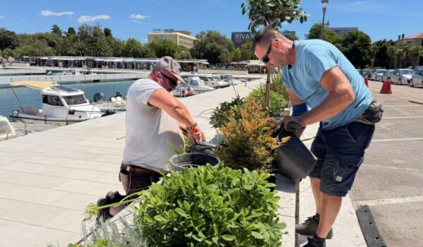 Mediteransko bilje i istarski kamen za novu vizuru porečke rive