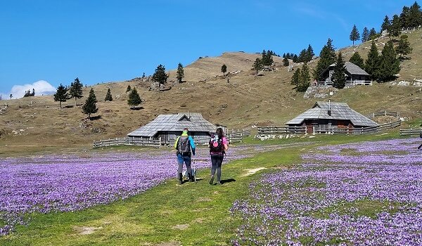 KAF Sveti Lovreč organizira jednodnevni izlet na Veliku planinu