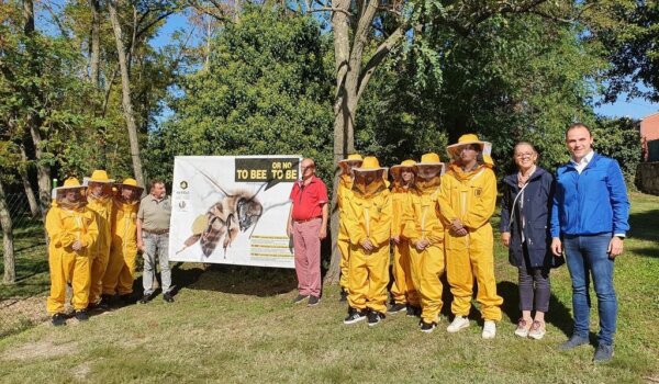 Porečki urbani pčelinjak pun pogodak