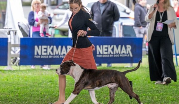 Pobjednički duo: Evelyn i pas Rise srušili konkurenciju u Karlovcu