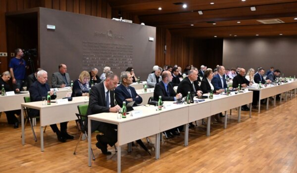 Jednoglasno formirana sva radna tijela Skupštine Istarske županije