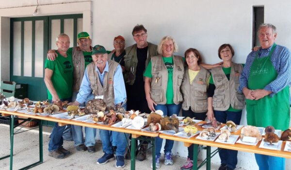 U subotu Dan gljiva u Kontiji: Jesenska zabava za sve uzraste