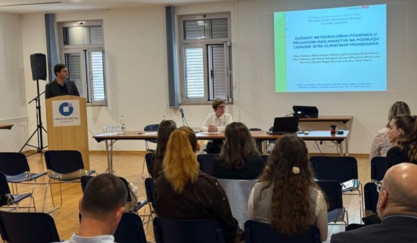 Institut iz Poreča traži rješenja za sušu u maslinarstvu