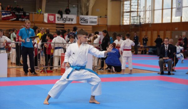 Aleksandar Majkić brončani na karate turniru u Sloveniji