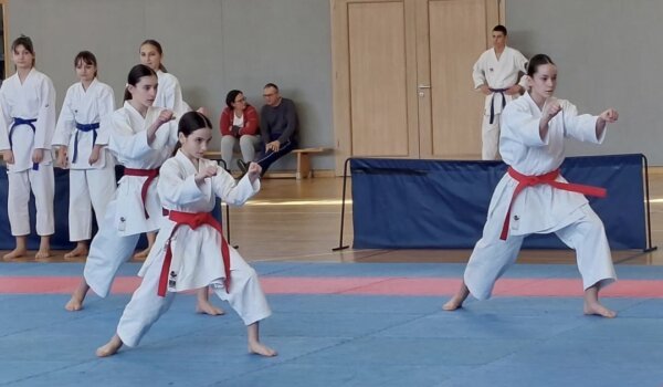 Karate klub Finida ukupni pobjednik Županijskog prvenstva u katama