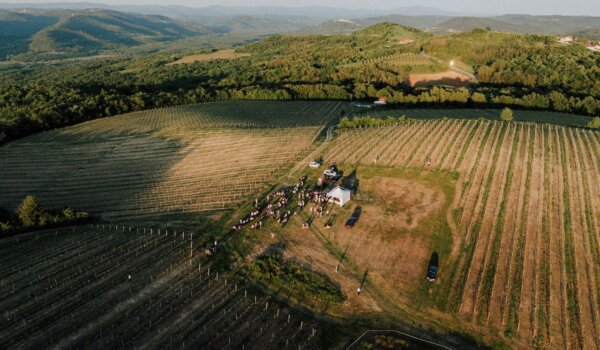 Viva vino - Wine & Walk u Vižinadi privukao goste iz više zemalja